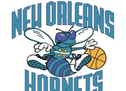 奇异果体育-包含NBA总决赛倒计时，夏洛特黄蜂今晚官宣签约，细节引发关注，球迷炸锅，训练强度明显提升的词条