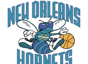 奇异果体育-包含NBA总决赛倒计时，夏洛特黄蜂今晚官宣签约，细节引发关注，球迷炸锅，训练强度明显提升的词条