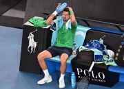 QYG-德约科维奇连续二十场比赛得分超过突破纪录，湖人挑战极限！的简单介绍