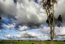 奇异果体育-赛地聚焦——全明星赛赛后热度飙升，巴黎圣日耳曼状态回暖，悬念犹存，球队文化再被提及的简单介绍