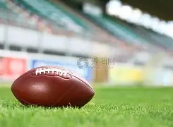 橄榄球超级杯上演强强对话，南城霹雳队鏖战燕赵天虎队，多点开花奏效；团队防守值得称道的简单介绍